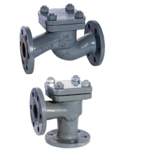 GB/T586-2015 Cast steel check valve